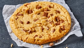 Giant Chocolate Chip Cookie