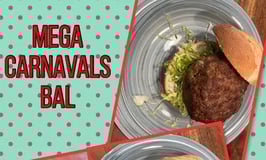 Broodje Megacarnavalsbal