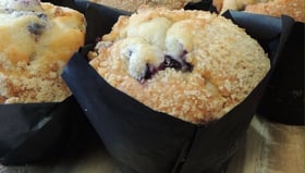 Blueberry Muffin 