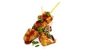 YAKITORI ZALM (2 stucks)