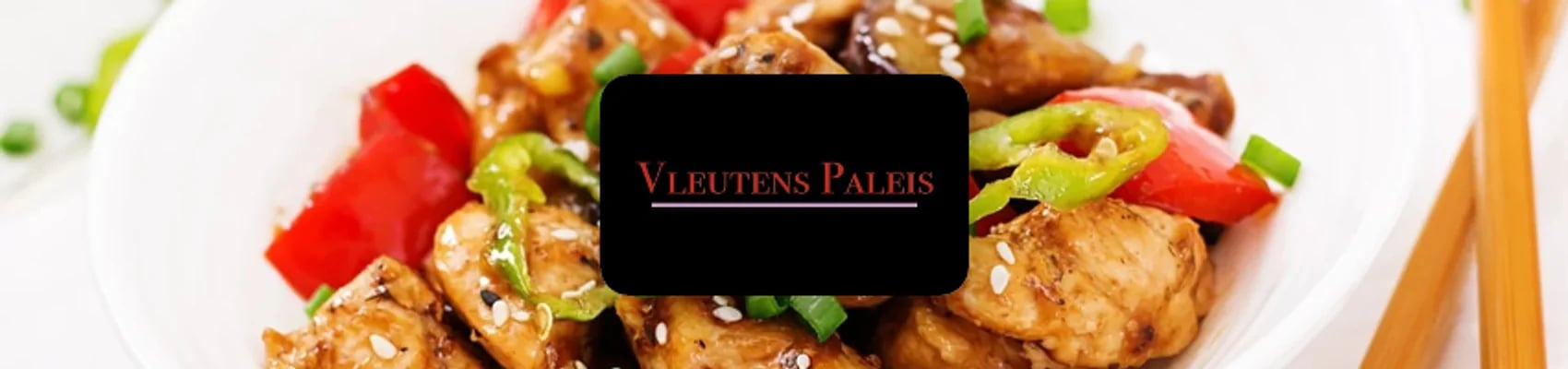 Vleutens Paleis