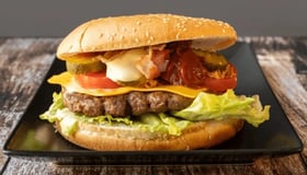 Magneto burger