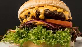 Mexican burger