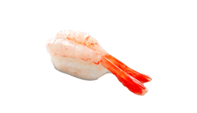 Nigiri ama ebi