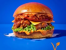 Veggie Kimchi Nochicken Cheese Bun