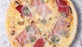 023S. Pizza saporita