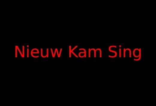 Nieuwe Kam Sing