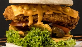 Mexican chickenburger