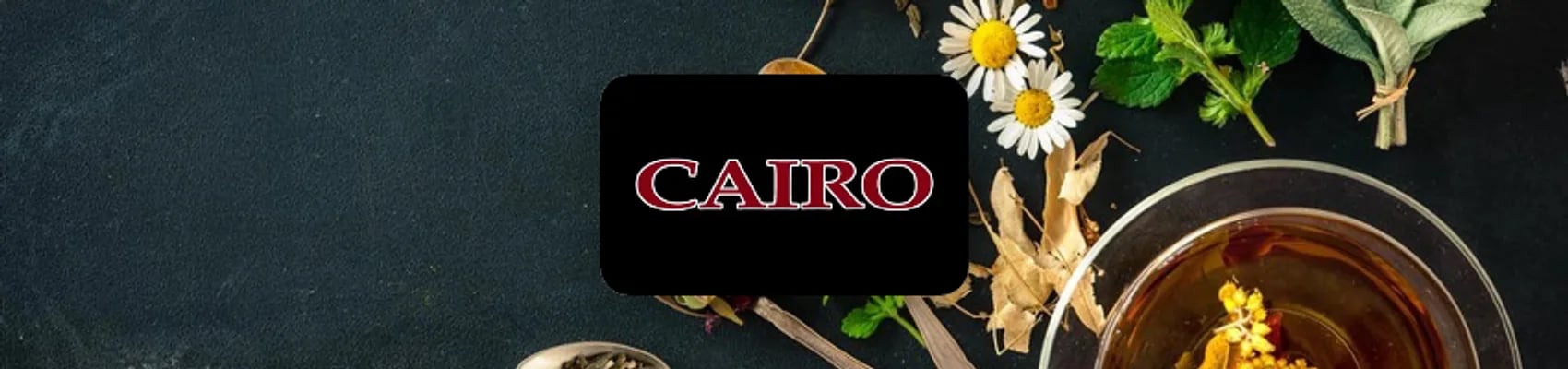 Egyptisch Cairo