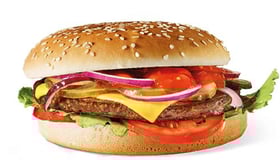 Vegetarische burger
