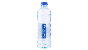 147. Chaudfontaine natuurlijk mineraalwater 500ml