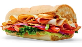 Subway Melt™