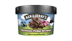 Ben & Jerry's Chocolate Fudge Brownie