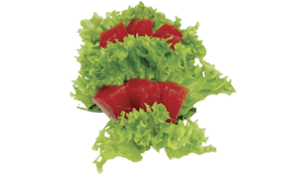 Tonijn Sashimi