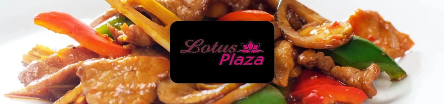 Wokrestaurant Lotusplaza
