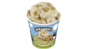 Ben & Jerry's Spectacu-love 465ml