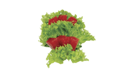 Sashimi tonijn