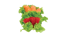 Zalm & Tonijn Sashimi