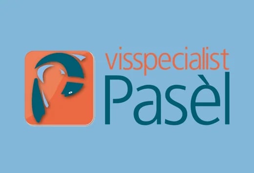 Vis Specialist Pasel
