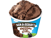 Ben & Jerry's Chocolate Fudge Brownie 100ml