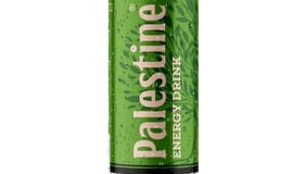 Palestine energy 