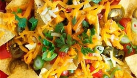 Nacho's vegetarisch