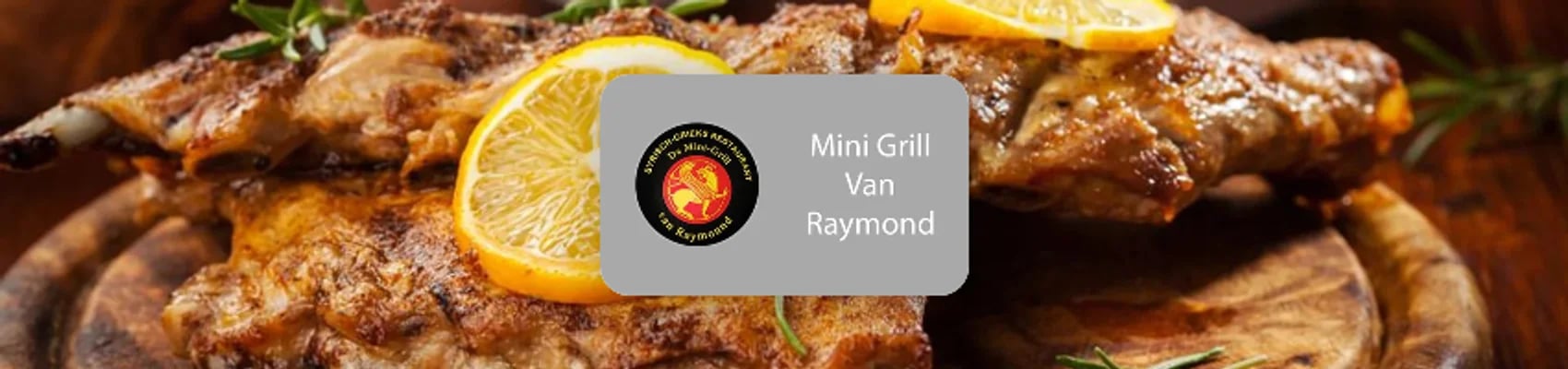 Mini Grill van Raymound 2