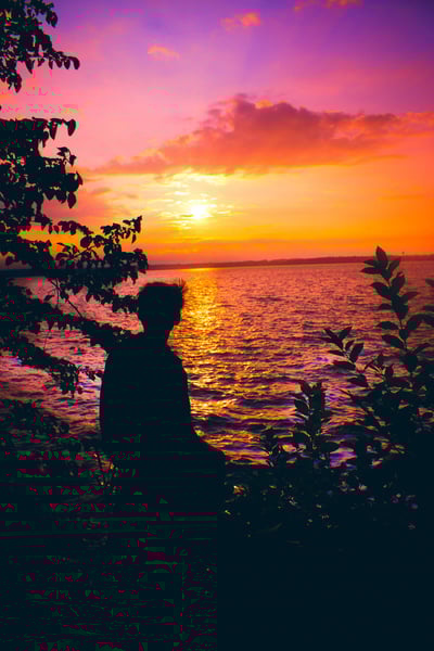 State Street Winter Orpheum Theater Snowy Wall Art