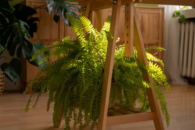 Make Your Home Shine with Realistic Faux Plants