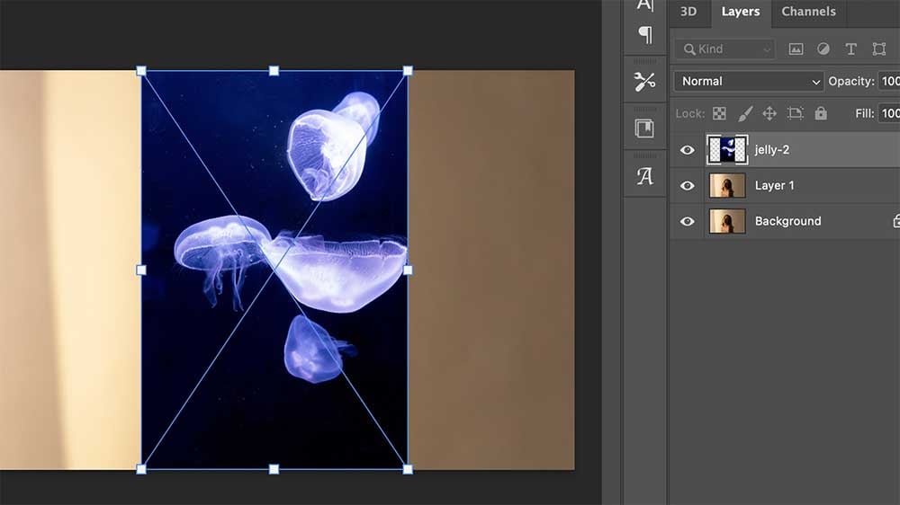 Tutorial of Double Exposure