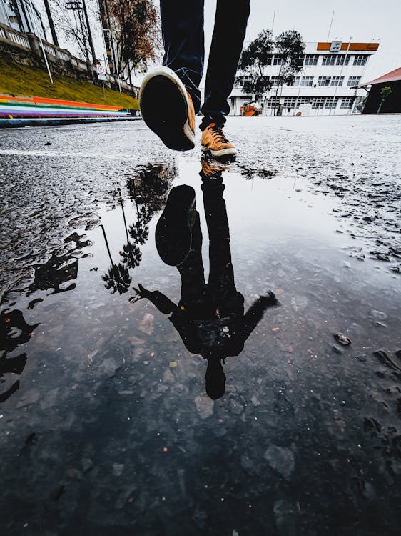 Reflections in Rainy Streets
