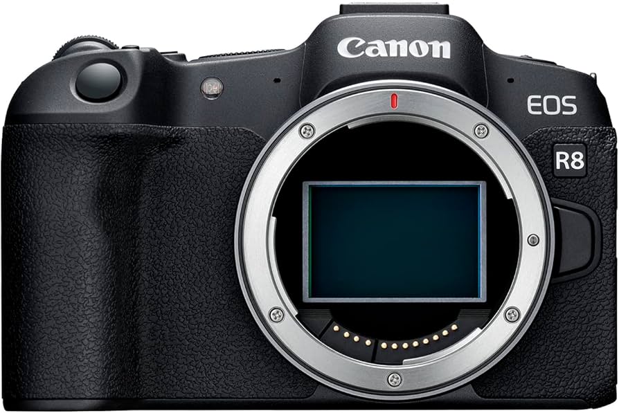 Sony mirrorless