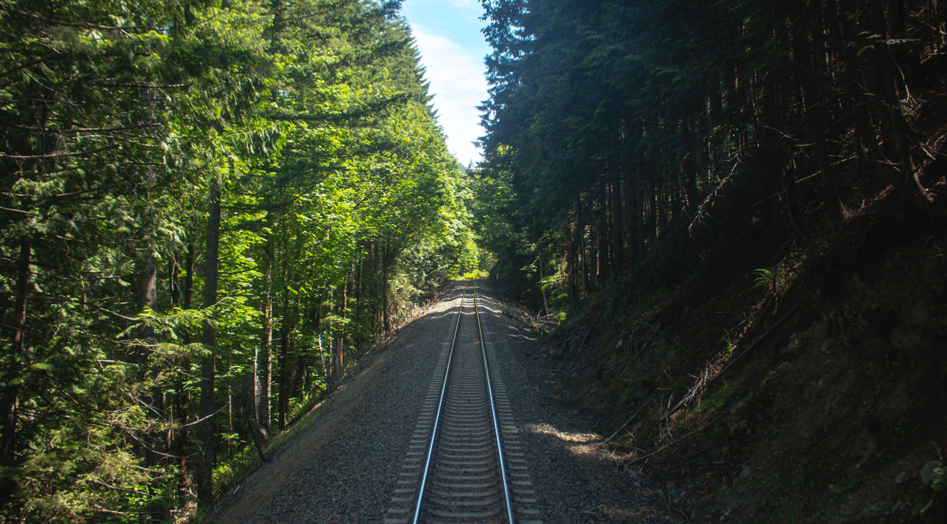 The Everglades Rail Track Tropical Landscape Wall Décor