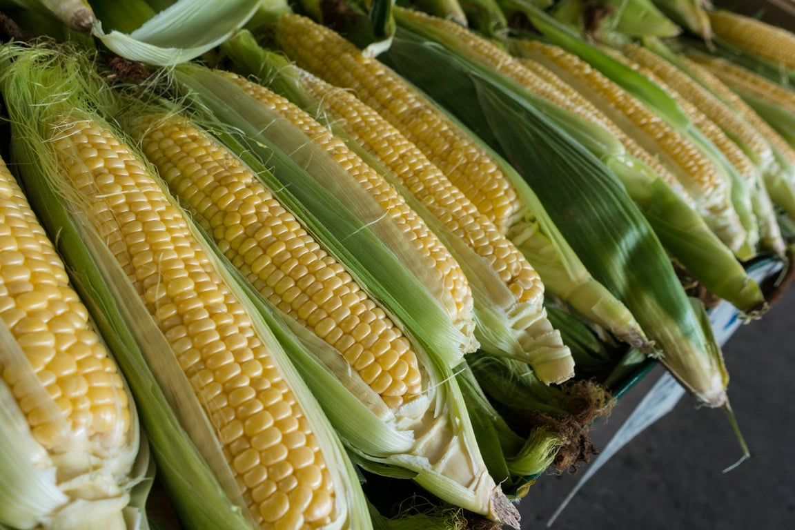 Fresh Corn