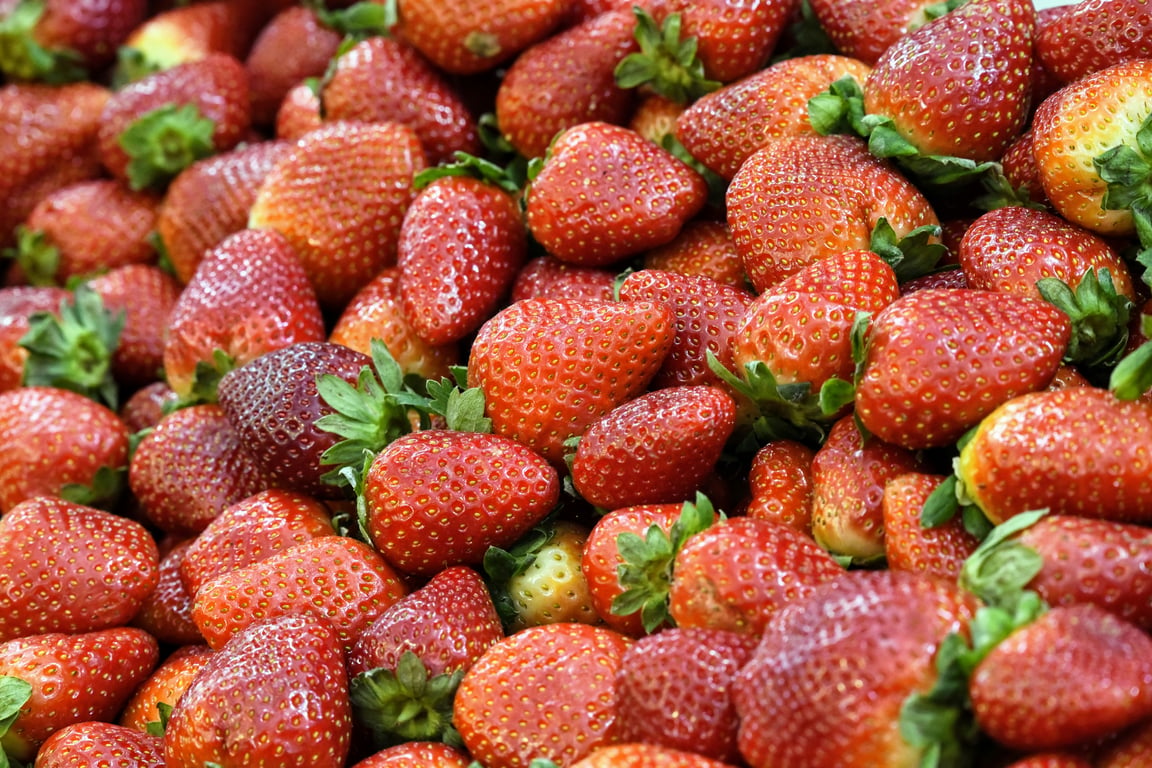 Fresh Berries