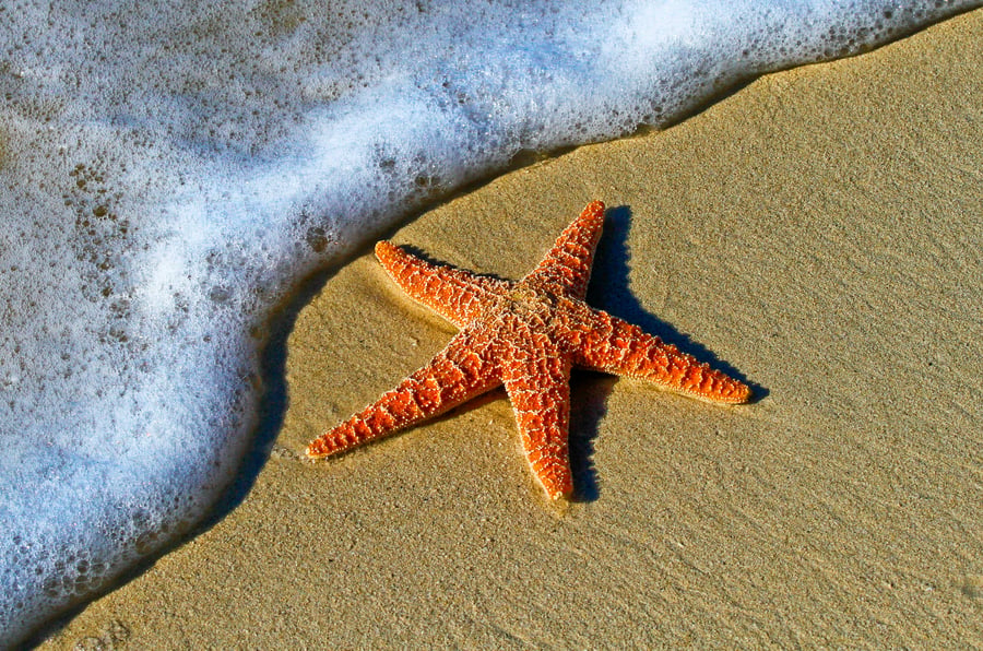 Last minute summer spots to visit