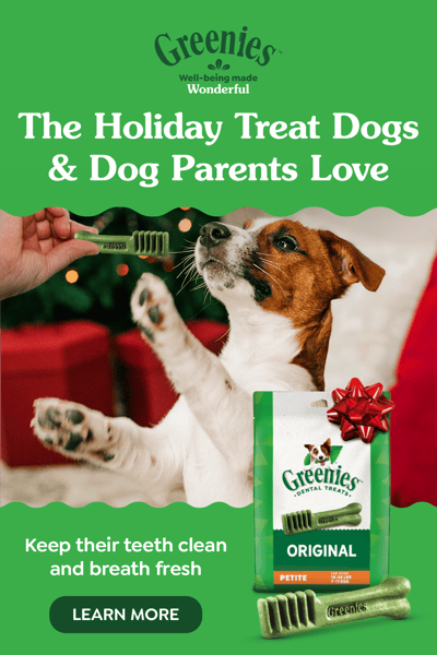 Greenies / Holiday