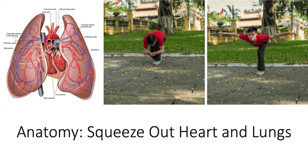 crane qigong anatomy