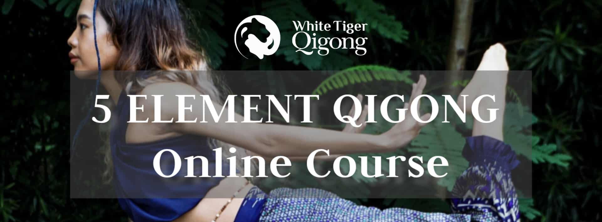Qigong for Mobility
