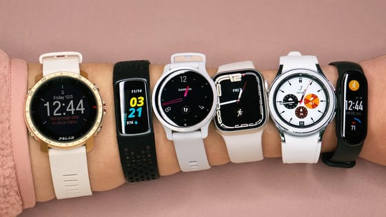 2024 as Pivotal Year for Smartwatch Businesses