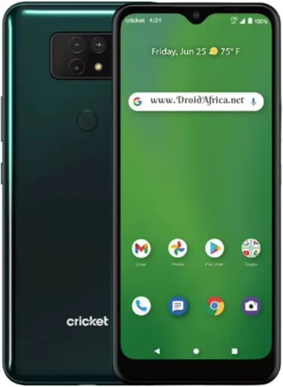 FIH Cricket Ovation 2 Sempreverde