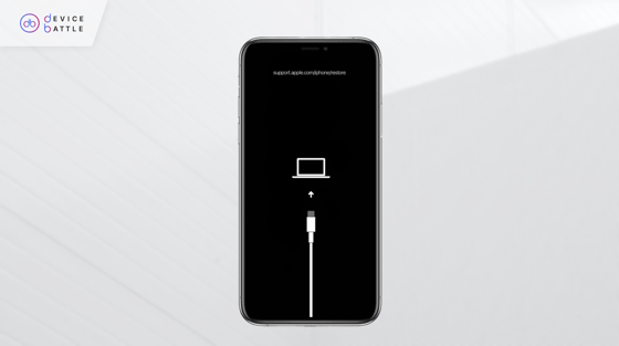 Im Wiederherstellungsmodus festgefahren? Wie Sie Ihr iPhone wieder in den Normalzustand bringen