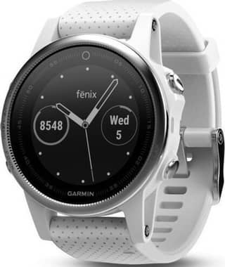 Garmin Fenix Smartwatch 5S