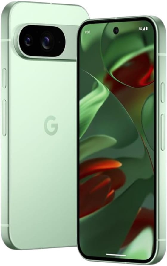 Google Pixel 9  5G VerdeInverno