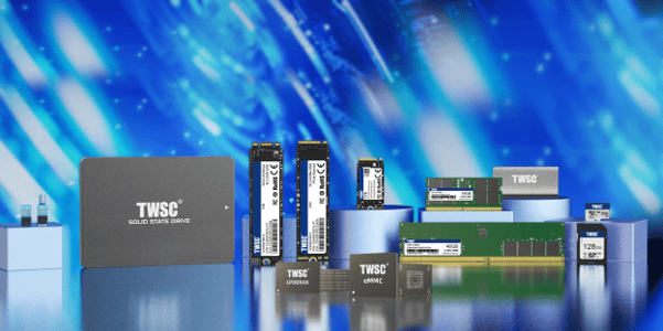 China storage module maker Techwinsemi rides AI driven NAND cycle to ...