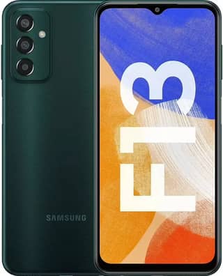 Samsung Galaxy F13 (2022)