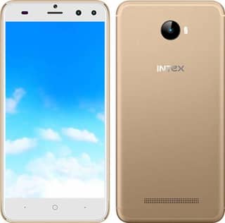Intex Elyt