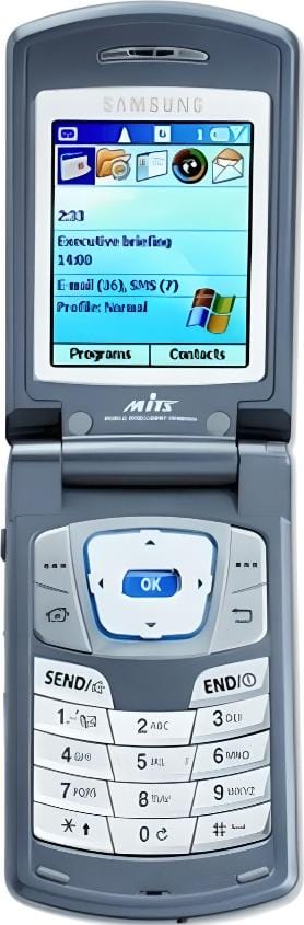 Samsung SCH-i600 Grís
