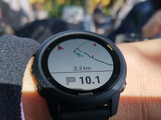 Los usuarios de relojes Garmin se quejan de problemas masivos y critican a Garmin