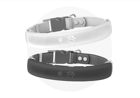 El Co-Fundador de Halo Collar, Michael Ehrman, Habla sobre el Nuevo Modelo y Construir 'Un Smartphone Para Perros'